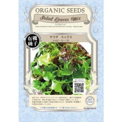 有機種子 固定種 サラダミックス 種 ベビーリーフ 3.3ｇ 種子 2026年11月期限 | 