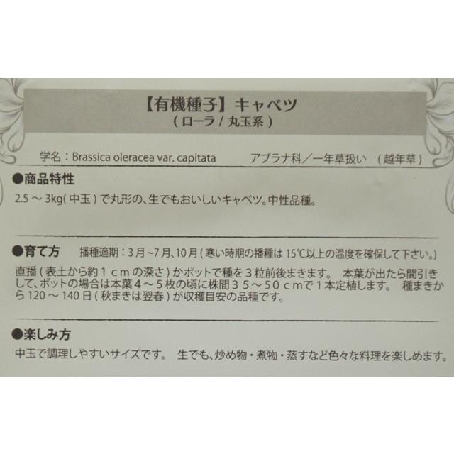 有機種子 固定種 キャベツ ローラ 丸玉系 90粒 種 種子 2024年11月期限｜nicoco｜03