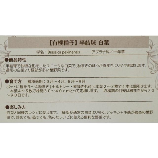 有機種子 固定種 半結球 白菜 0.6ｇ 種 ハクサイ 小袋 2024年11月期限｜nicoco｜03