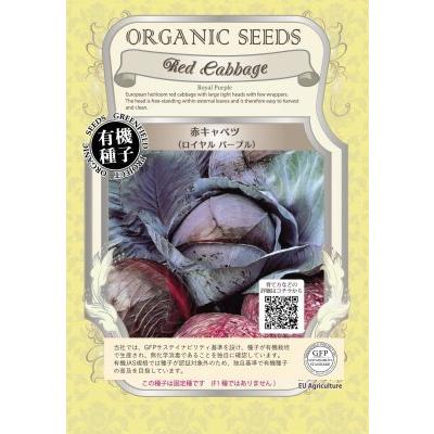 有機種子 固定種 赤キャベツ ロイヤルパープル 60粒 種 2026年5月期限 | 