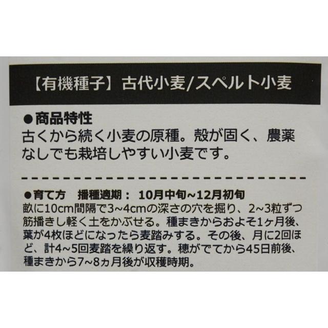 有機種子 固定種 古代小麦 スペルト小麦 こむぎ オーガニック 15g 小袋 2026年11月期限 |  | 02