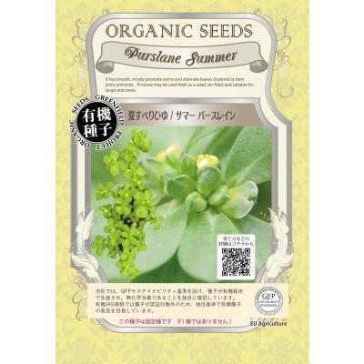 有機種子 固定種 夏すべりひゆ サマーパースレイン 0.3ｇ 種 2026年11月期限 | 
