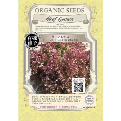 有機種子 固定種 リーフレタス ロロロッサ 0.8g 種 サニー系 小袋 2026年5月期限 | 