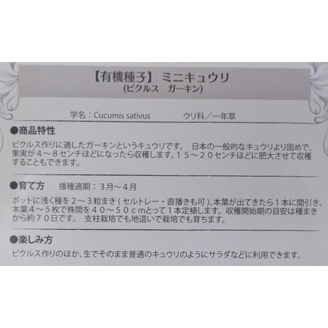 有機種子 固定種 ミニキュウリ 25粒 種 ピクルスガーキン 2026年11月期限 |  | 02