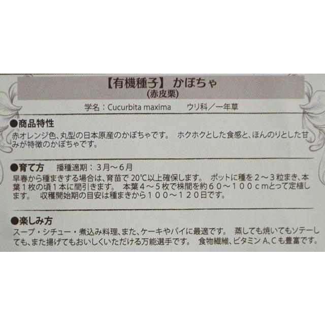 有機種子 固定種 かぼちゃ 種 赤皮栗 カボチャ 15粒 2026年11月期限 |  | 02