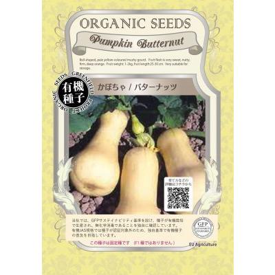 有機種子 固定種 かぼちゃ 20粒 種 バターナッツ カボチャ 2026年11月期限 | 