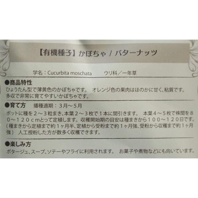 有機種子 固定種 かぼちゃ 20粒 種 バターナッツ カボチャ 2026年11月期限 |  | 02
