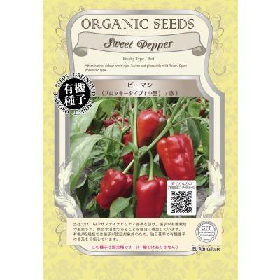 有機種子 固定種 ピーマン 40粒 種 ブロッキータイプ 中型 赤 2026年11月期限 | 