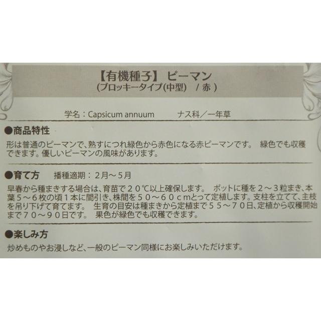 有機種子 固定種 ピーマン 40粒 種 ブロッキータイプ 中型 赤 2026年11月期限 |  | 02