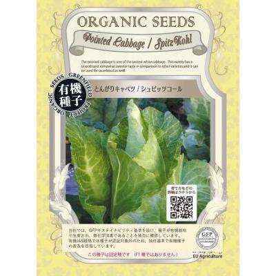 有機種子 固定種 とんがりキャベツ 60粒 種 シュピッツコール 小袋 2026年5月期限 | 