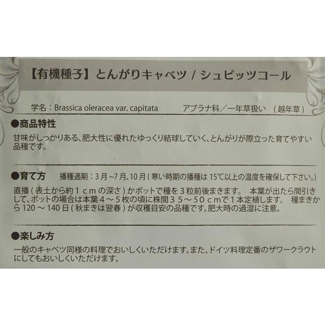 有機種子 固定種 とんがりキャベツ 60粒 種 シュピッツコール 小袋 2026年5月期限 |  | 02