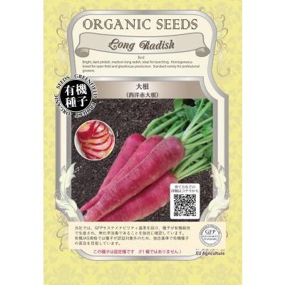 有機種子 固定種 西洋赤大根 ８０粒 種 ダイコン 2026年5月期限 | 