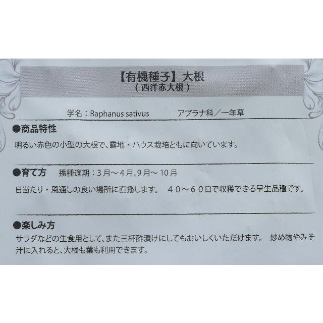 有機種子 固定種 西洋赤大根 ８０粒 種 ダイコン 2026年5月期限 |  | 03