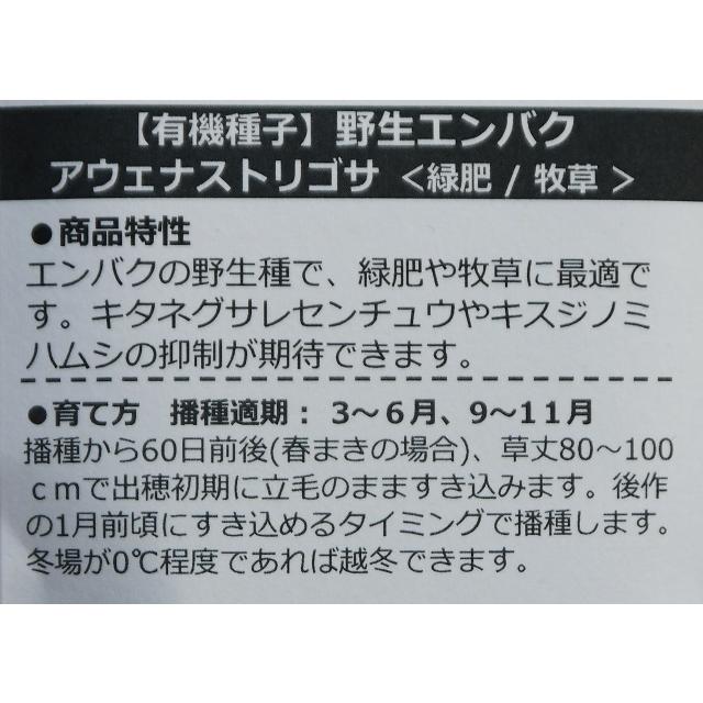 自然農法の種 有機種子 固定種 野生エンバク 16ｇ 種 アウェナストリゴサ 緑肥/牧草 小袋 2024年11月期限｜nicoco｜02