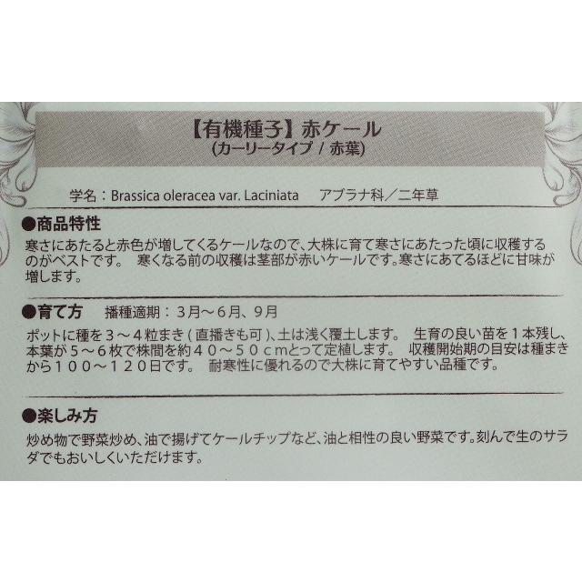 有機種子 固定種 赤ケール 0.4g 種 カーリータイプ 赤葉 2026年11月期限 |  | 01
