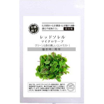 有機種子 固定種 レッドソレル 0.4ｇ 種 マイクロリーフ 2026年5月期限 | 