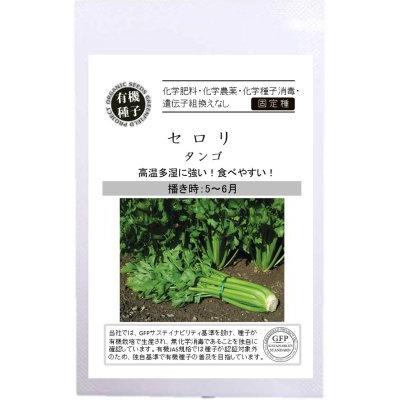有機種子 固定種 セロリ タンゴ 40粒 種 23年5月期限 Nicoco プランター菜園を楽しむ会 通販 Yahoo ショッピング