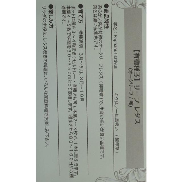 8周年記念イベントが 有機種子 固定種 オークリーフ 赤 2022年11月期限 種 8周年記念イベントが 有機種子 固定種 オークリーフ 赤 2022年11月期限 種
