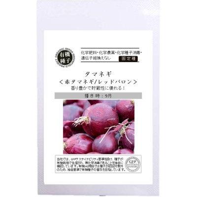 有機種子 固定種 赤玉ねぎ レッドバロン 1.0ｇ 赤タマネギ 2026年11月期限 | 