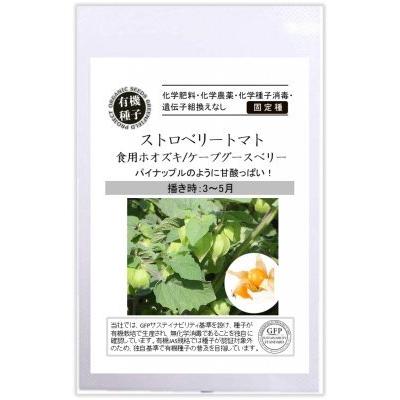 有機種子 固定種 ストロベリートマト 食用ホオズキ 10粒 2026年11月期限 | 