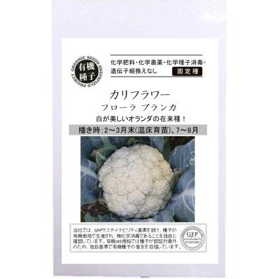 有機種子 固定種 カリフラワー  フローラ ブランカ 40粒 種 2026年11月期限 | 