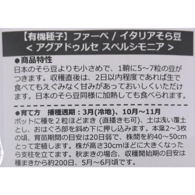 有機種子 固定種 ソラマメ 10粒 種 ファーベ  イタリアそら豆 アグアドゥルセ スペルシモニア  2027年5月期限 |  | 02
