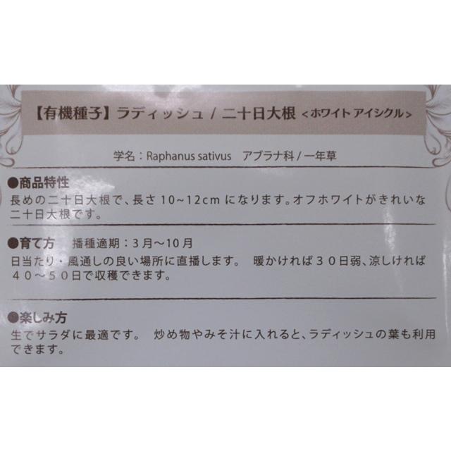 有機種子 固定種  ラディッシュ 二十日大根 ホワイト アイシクル 1.5ｇ 種 2027年5月期限 |  | 01