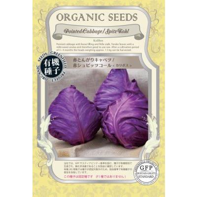 有機種子 固定種 赤とんがりキャベツ 赤シュピッツコール カリボス 40粒 種 2026年11月期限 | 