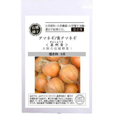 有機種子 固定種 タマネギ 黄タマネギ 泉州黄 0.6g 種 玉ねぎ 2026年11月期限 | 