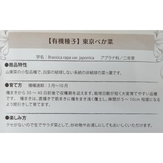有機種子 固定種 東京べか菜 1.2g べかな 2026年11月期限 |  | 01