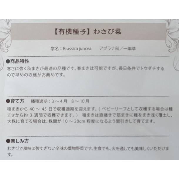 有機種子 固定種 わさび菜 220粒 2026年11月期限 |  | 01