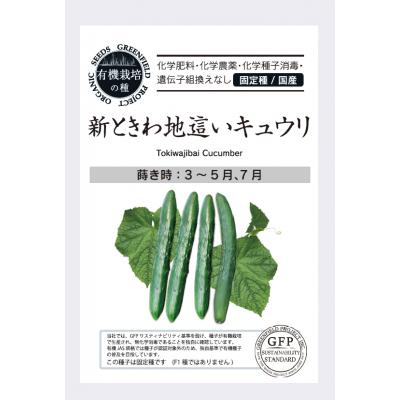 有機種子 固定種 きゅうり 新ときわ地這いキュウリ 種 25粒 キュウリ 国産 2026年11月期限 | 