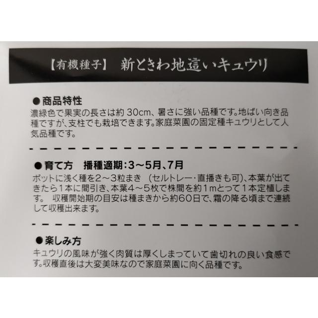 有機種子 固定種 きゅうり 新ときわ地這いキュウリ 種 25粒 キュウリ 国産 2026年11月期限 |  | 02