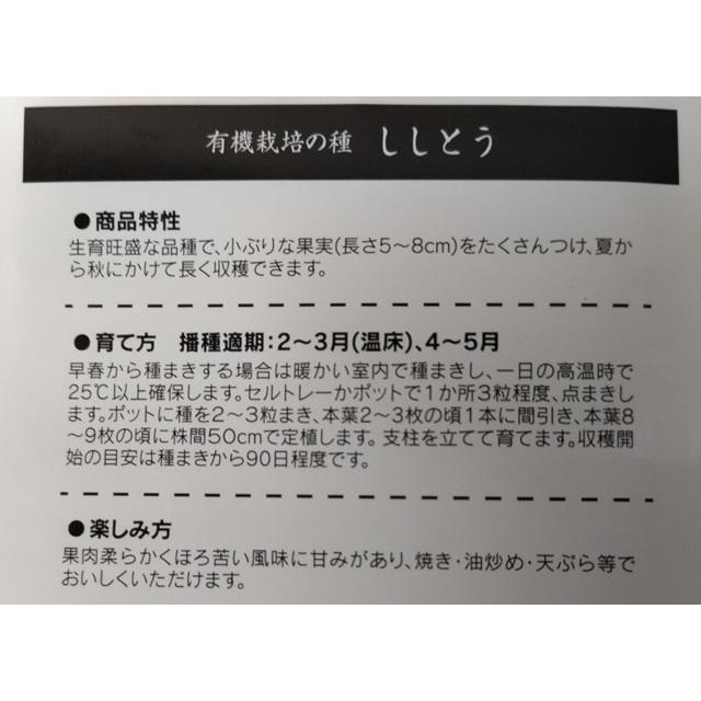 有機種子 固定種 ししとう 種 40粒 2027年5月期限 |  | 01