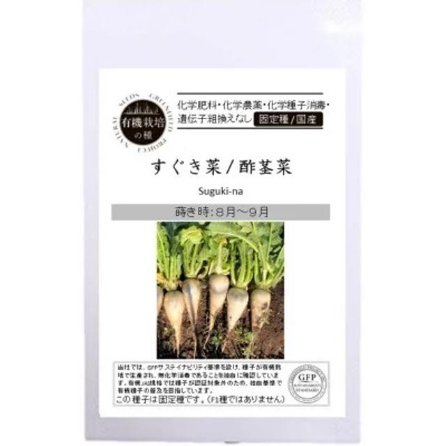有機種子 固定種 すぐき菜 酢茎菜 種 30粒 2026年11月期限 | 