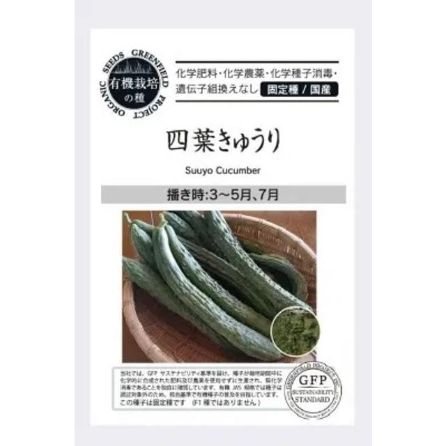 有機種子 固定種 きゅうり 四葉きゅうり 種 12粒 キュウリ 国産 2026年11月期限 | 