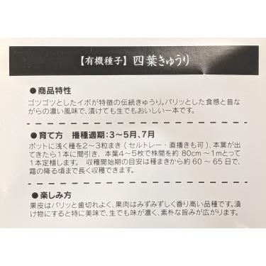有機種子 固定種 きゅうり 四葉きゅうり 種 12粒 キュウリ 国産 2026年11月期限 |  | 01