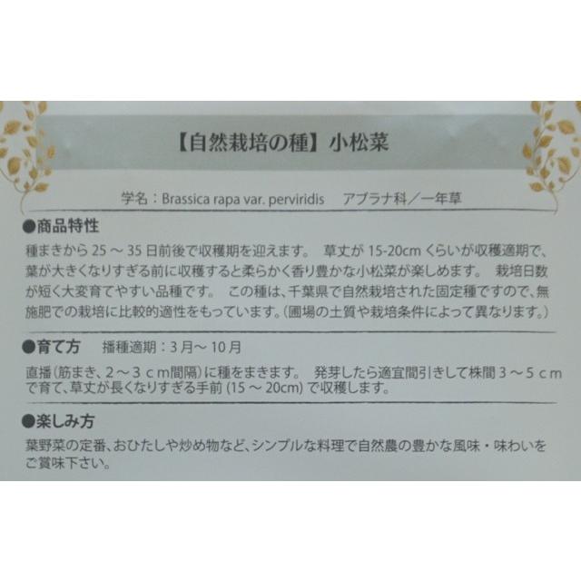 無農薬 自然農法の種 固定種 小松菜 1ｇ 種 在来種 2024年11月期限｜nicoco｜03