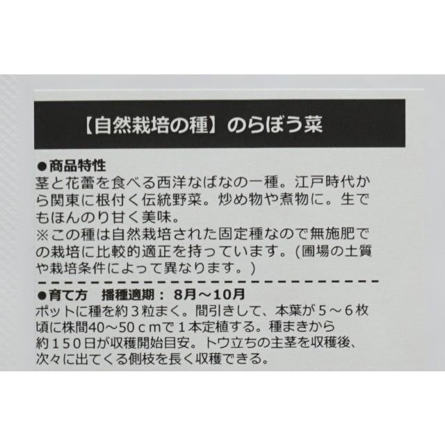無農薬 自然栽培の種 固定種 のらぼう菜 3.5ｇ 種 在来種 2026年11月期限 |  | 02