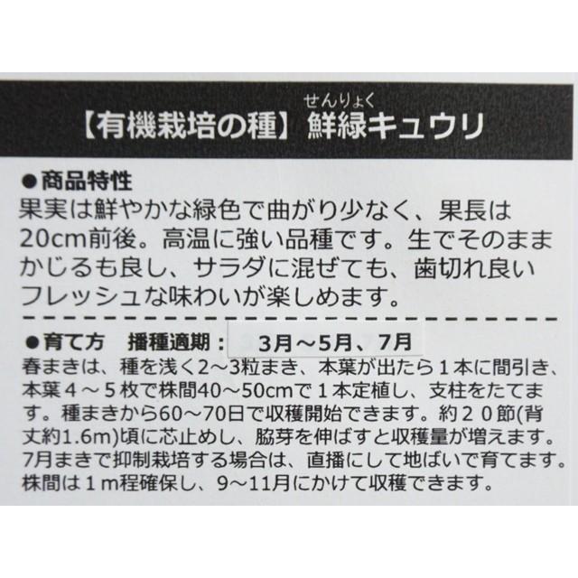 有機キュウリ　鮮緑キュウリ　有機栽培　有機種子　自然栽培　キュウリ　抜き苗　2つ 有機キュウリ 鮮緑キュウリ 有機栽培 有機種子 自然栽培 キュウリ 抜き
