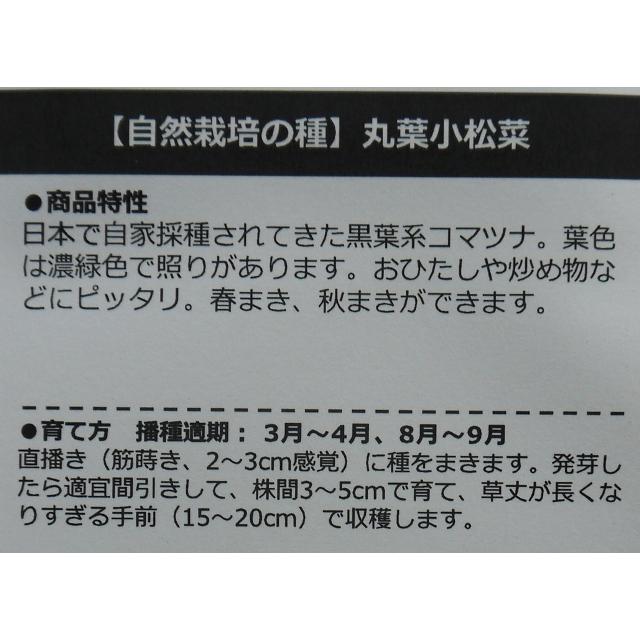 有機種子 固定種 丸葉小松菜 自然栽培の種 コマツナ 0.5ｇ 2026年11月期限 |  | 02