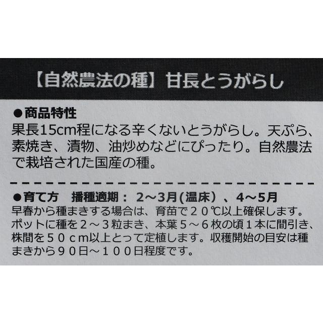 自然農法の種 有機種子 固定種 甘長とうがらし 12粒 種 2026年11月期限 |  | 01