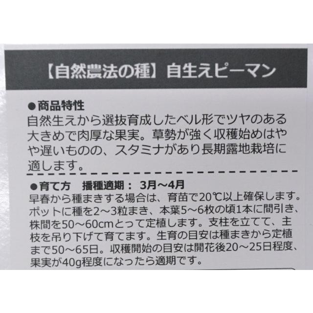 自然農法の種 固定種 自生ピーマン 10粒 種 ピーマン 2026年11月期限 |  | 01