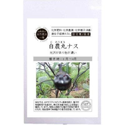自然農法の種 有機種子 固定種 自農丸ナス 10粒 種 なす 2026年11月期限 | 