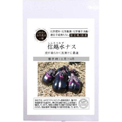 自然農法の種 有機種子 固定種 信越水ナス 10粒 種 水なす 2026年11月期限 | 