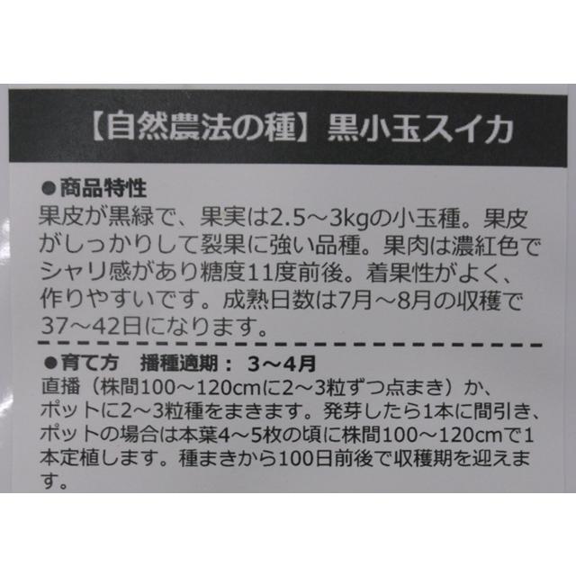 自然農法の種 有機種子 固定種 黒小玉スイカ 10粒 種 すいか 2027年5月期限 |  | 01