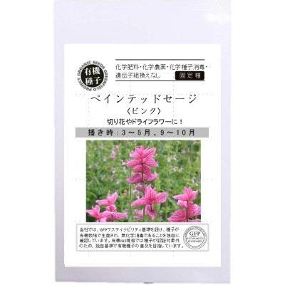 有機種子 固定種 ペインテッドセージ ピンク 種 エディブルフラワー Nicoco プランター菜園を楽しむ会 通販 Yahoo ショッピング