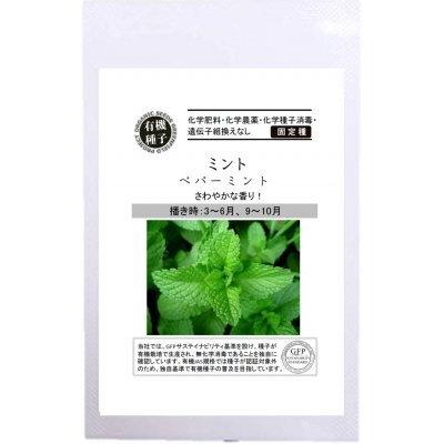 有機種子 固定種 ミント 種 ペパーミント ハーブ 22年11月期限 Nicoco プランター菜園を楽しむ会 通販 Yahoo ショッピング