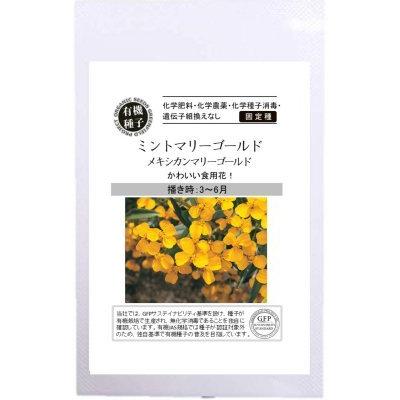 有機種子 固定種 ミントマリーゴールド 70粒 種 エディブルフラワー 23年5月期限 Nicoco プランター菜園を楽しむ会 通販 Yahoo ショッピング