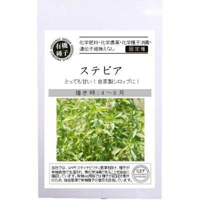 有機種子 固定種 ステビア 6粒 2026年11月期限 | 
